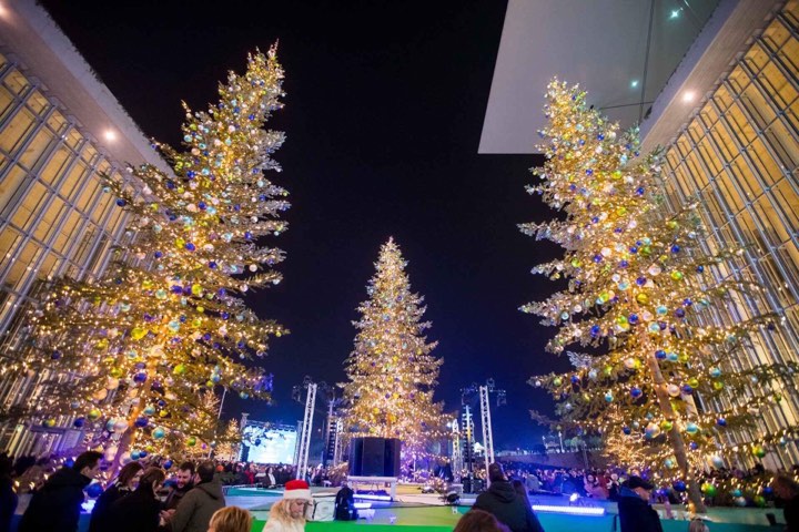 Κοντινή φωτογραφία που δείχνει τρια χριστουγεννιάτικα δέντρα στολισμένα κοντά το ένα με το άλλο 