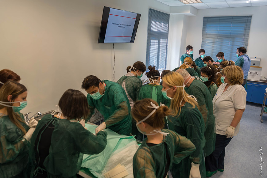 Φοιτητές ιατρικής εξασκούνται σε ομάδες