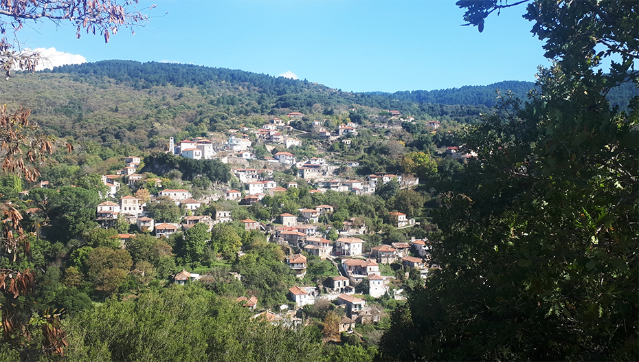 Φωτογραφία που δείχνει ένα χωριό ανάμεσα στο δάσος