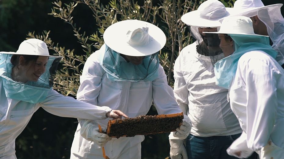 Ένας μελισσοκόμος κρατάει μια κυψέλη και τέσσερις άλλοι την παρατηρούν