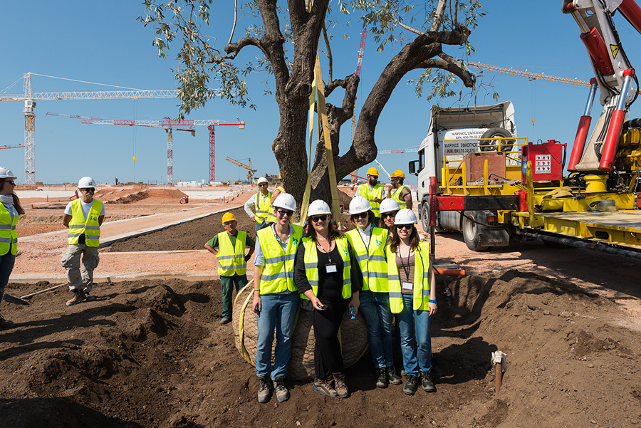 Μια γυναικεία ομάδα εργατών που φοράει το ίδιο κράνος και το ίδιο γιλέκο εργασίας, φωτογραφίζονται μπροστά από ένα δέντρο που τοποθετεί ο γερανός στο χώμα