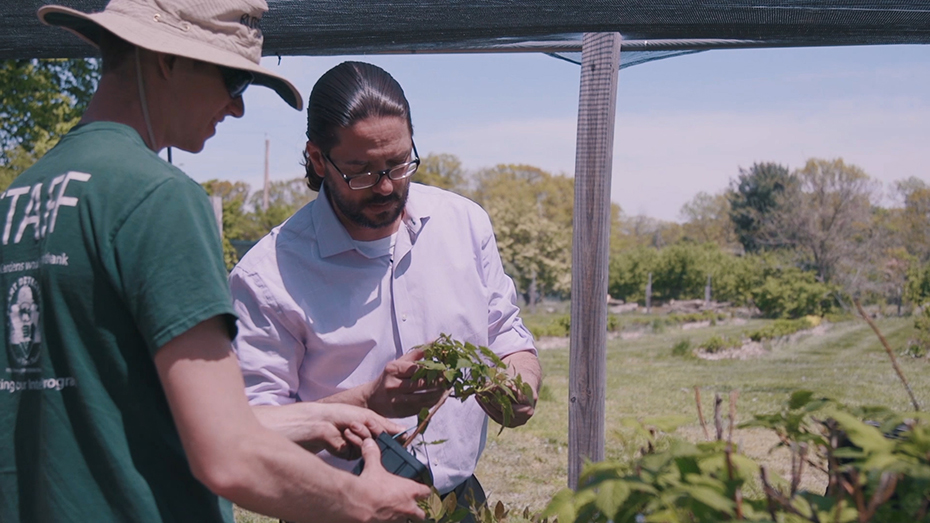 Δύο άντρες στη φύση κρατούν μια γλάστα με ένα φυτό και το κοιτούν 