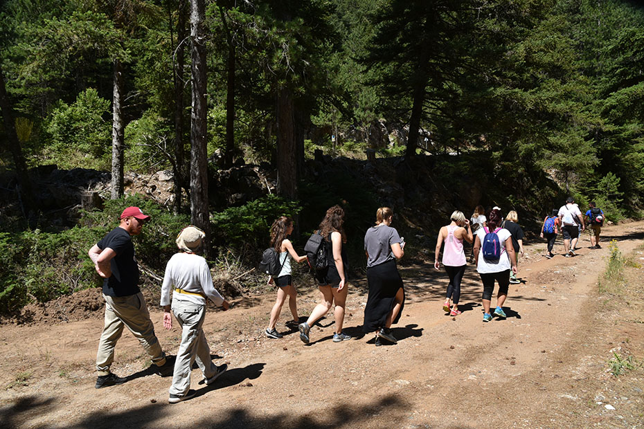 Μια ομάδα ανθρώπων κάνουν πεζοπορία μέσα στο δάσος