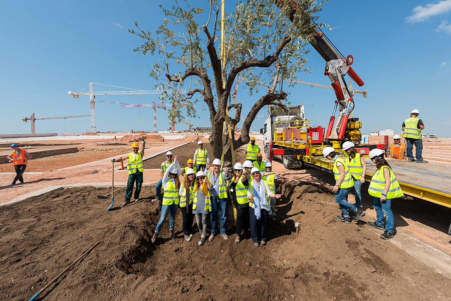 Μια ομάδα εργατών που φοράει το ίδιο κράνος και το ίδιο γιλέκο εργασίας, φωτογραφίζονται μπροστά από ένα δέντρο που τοποθετεί ο γερανός στο χώμα