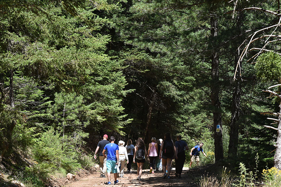 Μακρινή φωτογραφία που δείχνει ανθρώπους να κάνουν πεζοπορία στο δάσος