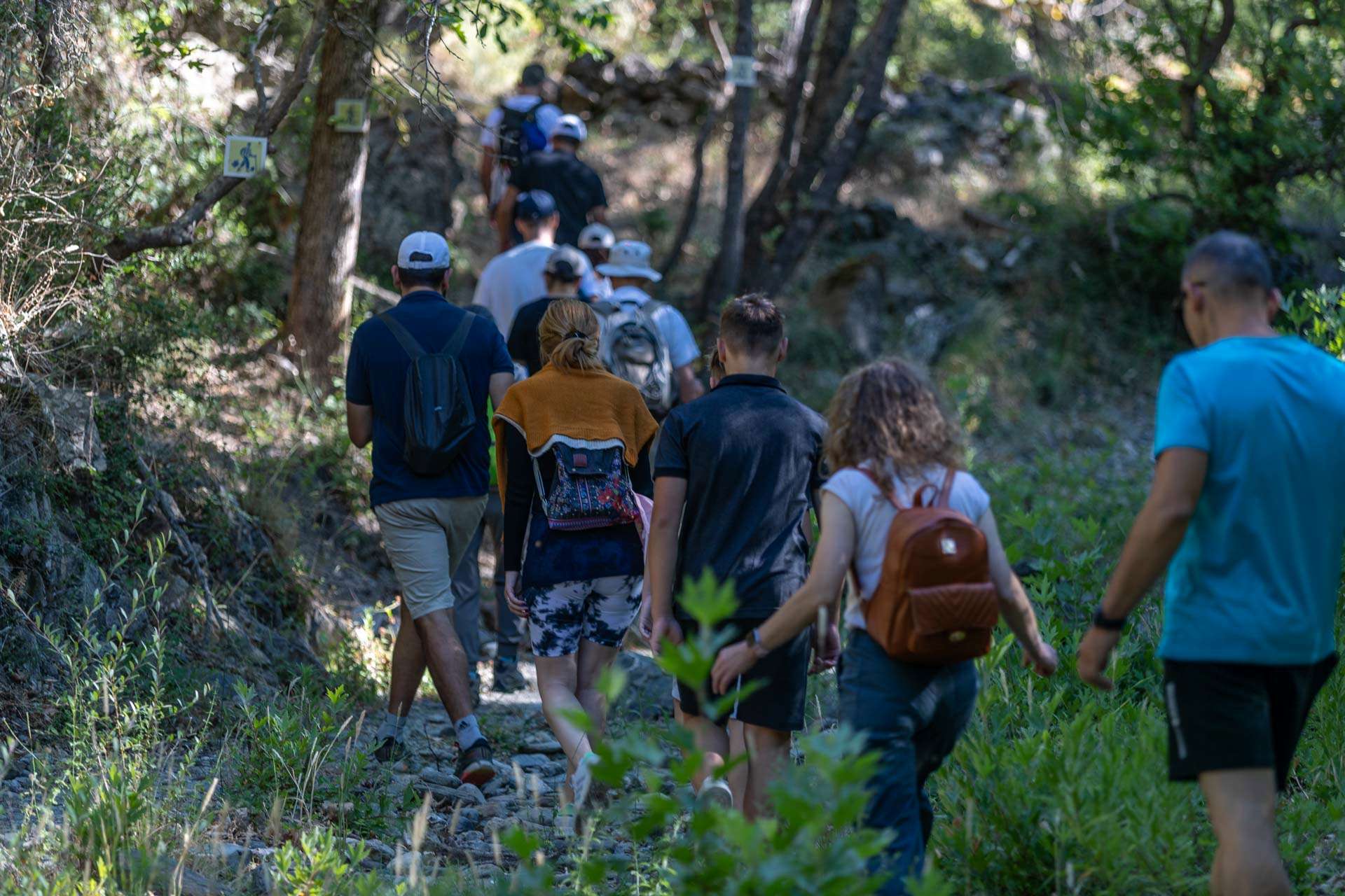 Μια ομάδα ανθρώπων που κάνουν πεζοπορία σε ένα βουνό.