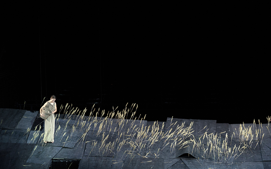 Φωτογραφία που δείχνει μια γυναίκα να κρατάει ένα μεγάλο καλάθι και να περπατάει ανάμεσα στα σιτάρια 