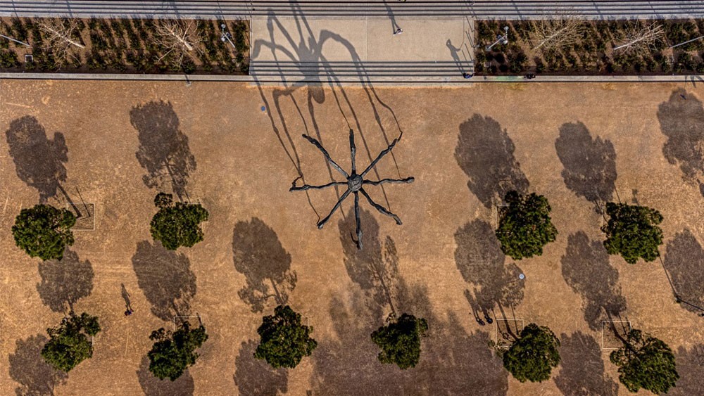 Φωτογραφία κάτοψης του μνημειώδους γλυπτού Maman, μιας γιγάντιας αράχνης ανάμεσα σε δέντρα.